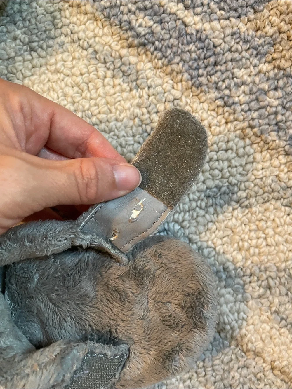 UGG Gray Plush Baby Walker Bixbee Booties with Hook-and-Loop Strap 6-12 months